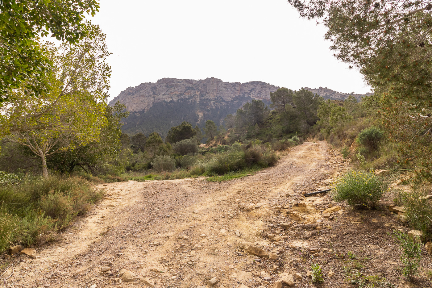 Villa Natural Columbares: finca privada con acceso exclusivo y 22.364 m² en Murcia