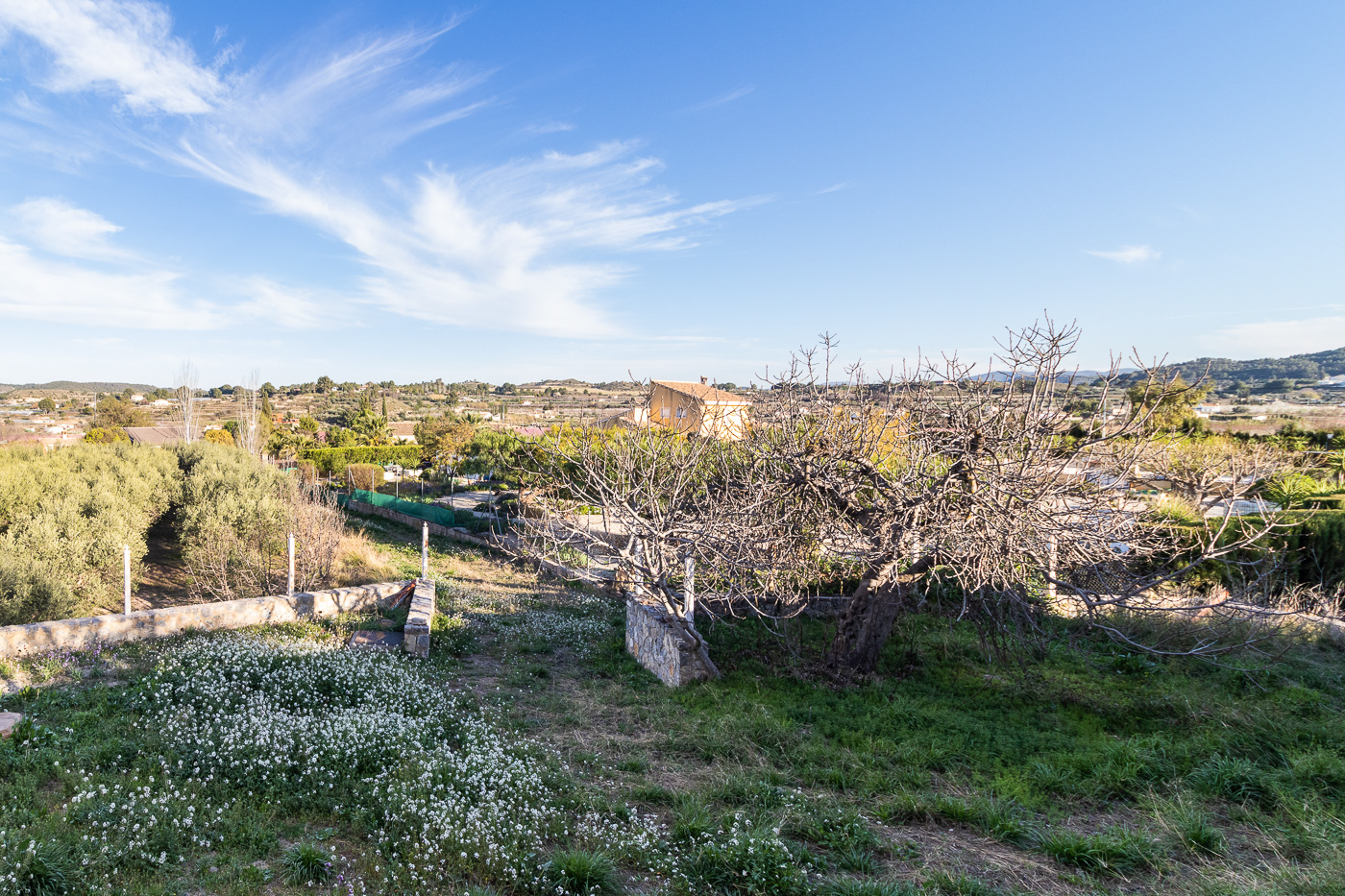 ANTIGUA ALMAZARA REHABILITADA COMO VIVIENDA EN CEHEGÍN