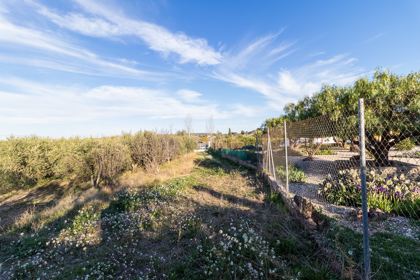 ANTIGUA ALMAZARA REHABILITADA COMO VIVIENDA EN CEHEGÍN