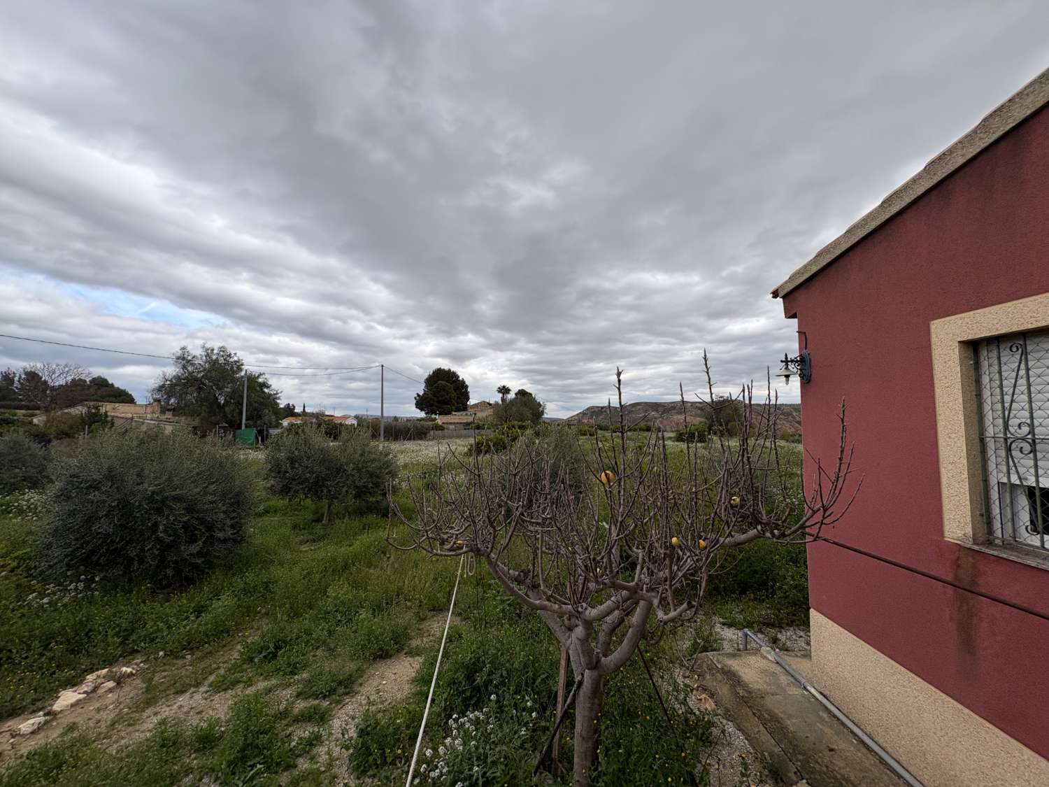 Chalet de 163 m² con parcela de 5.296 m² y cítricos en  Mula (Murcia)