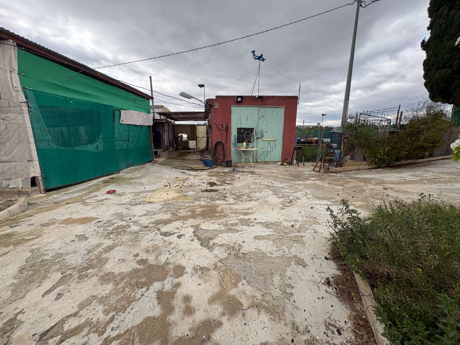 Chalet de 163 m² con parcela de 5.296 m² y cítricos en  Mula (Murcia)