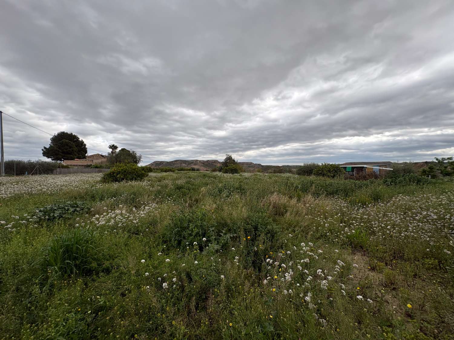 Chalet de 163 m² con parcela de 5.296 m² y cítricos en  Mula (Murcia)