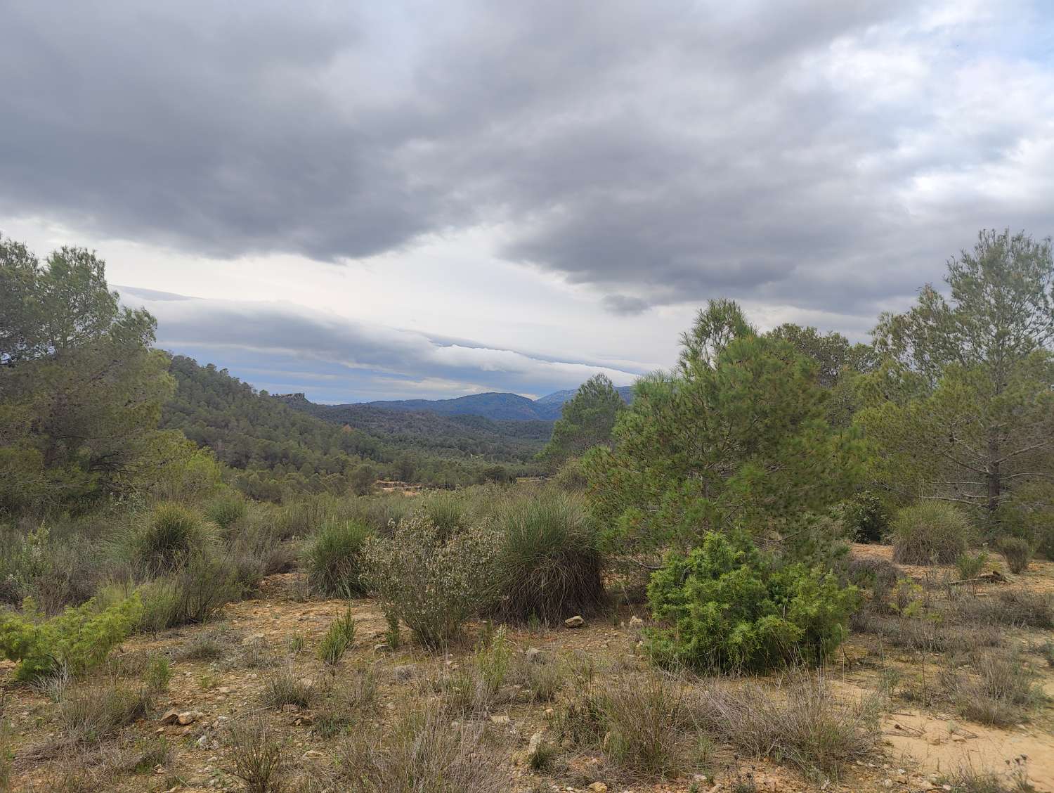 Działka budowlana o powierzchni 61 325 m² w miejscowości La Viga (Mula) z możliwością podłączenia wody i prądu