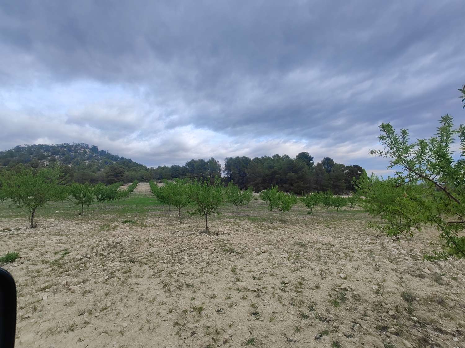 House in Murcia - view 1