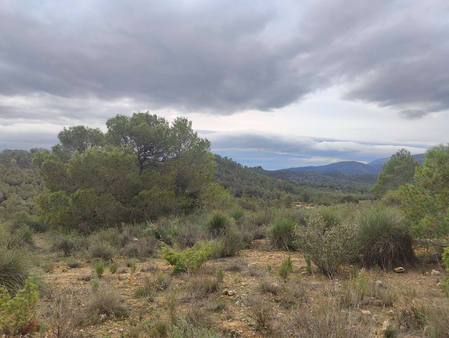 Działka budowlana o powierzchni 61 325 m² w miejscowości La Viga (Mula) z możliwością podłączenia wody i prądu