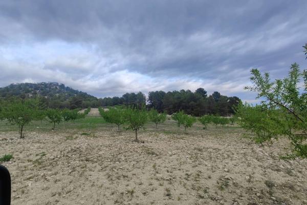 Finca edificable de 61.325 m² en La Viga (Mula) con posi...