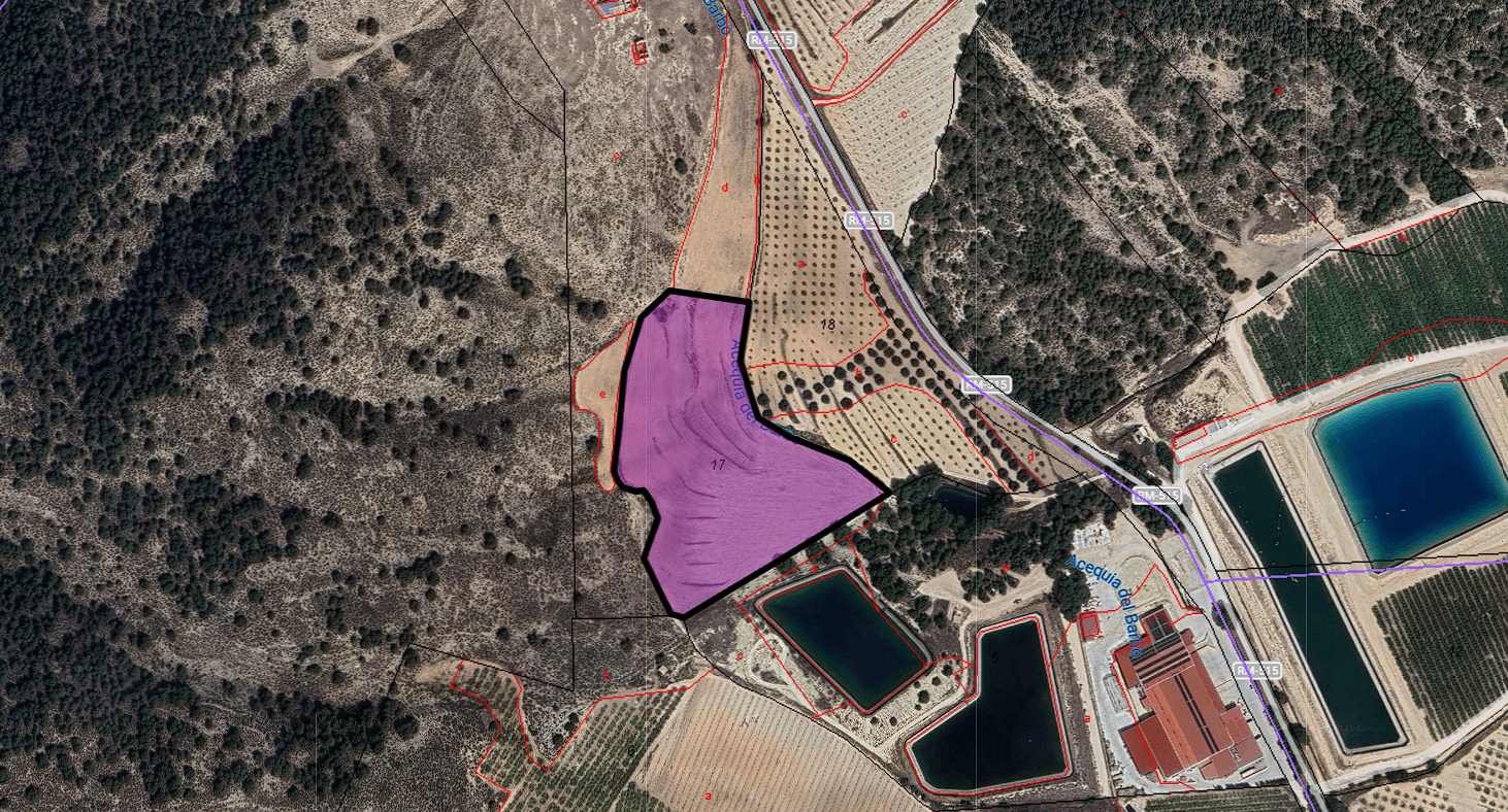 Land in El Berro - view 1