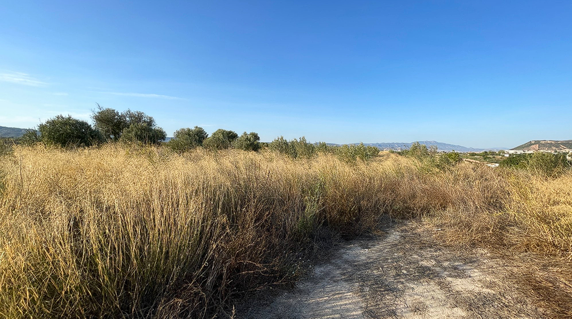 Land in Murcia - view 1