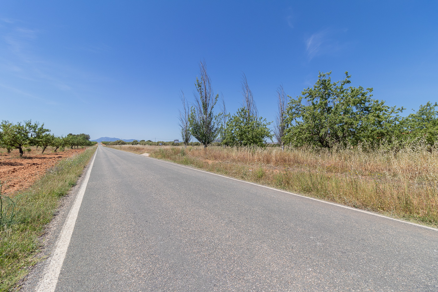 FINCA DE 5 HECTÁREAS CON CASA DE CAMPO EN CAGITÁN – MULA