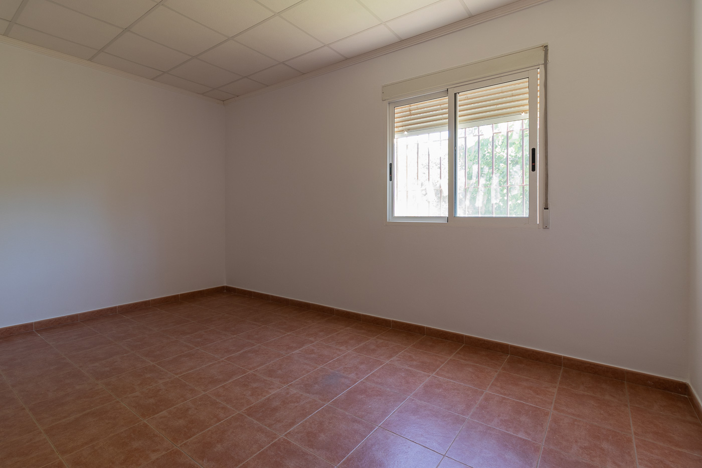 FINCA DE 5 HECTÁREAS CON CASA DE CAMPO EN CAGITÁN – MULA