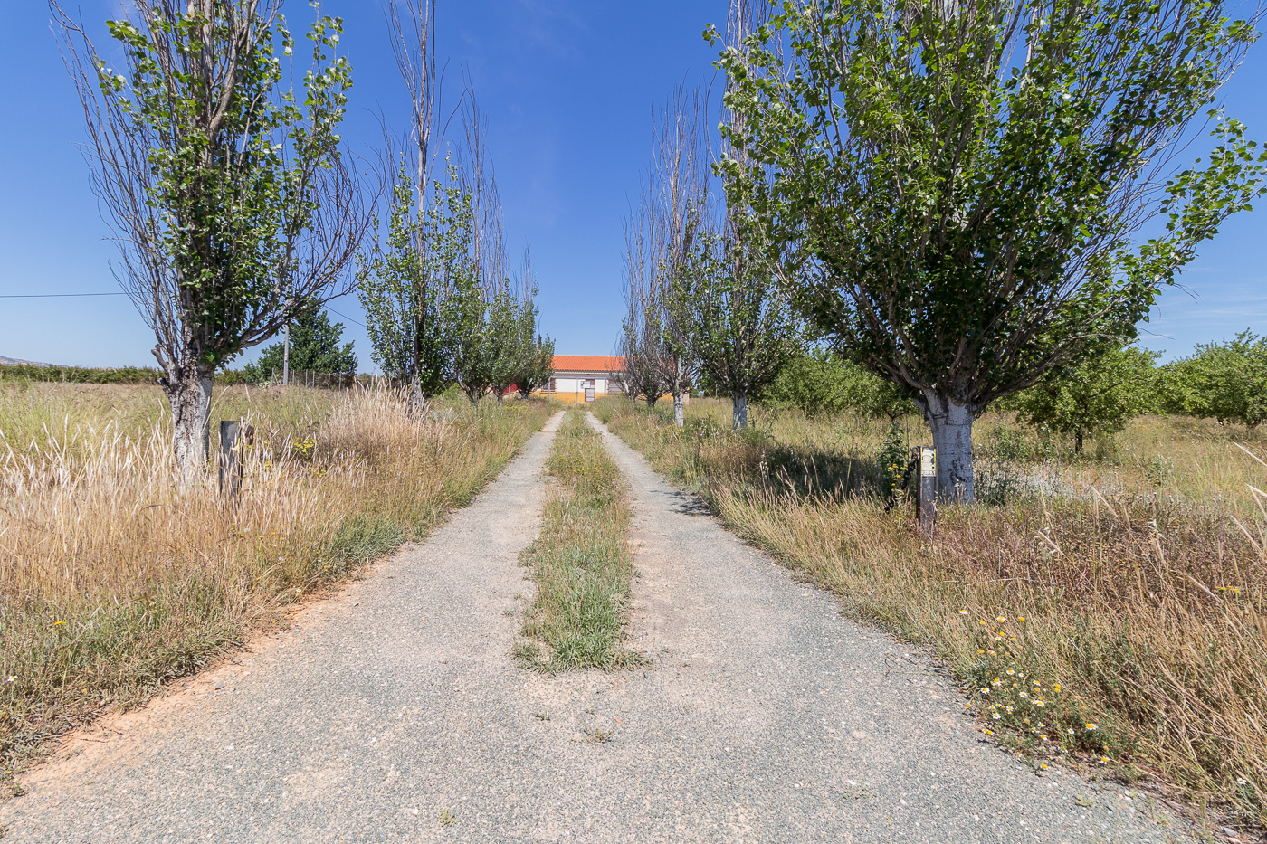 FINCA DE 5 HECTÁREAS CON CASA DE CAMPO EN CAGITÁN – MULA
