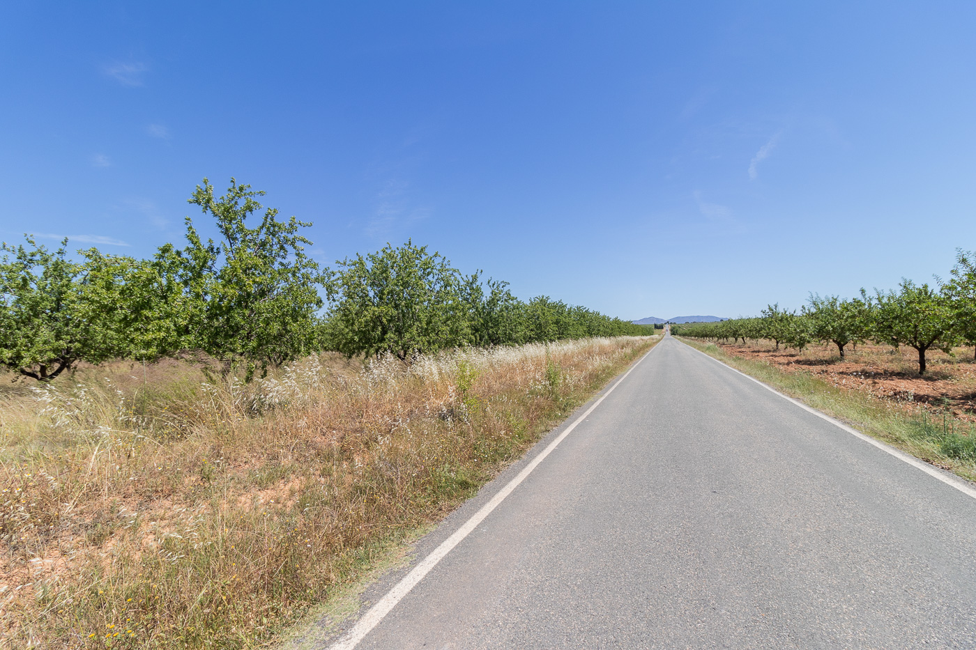 FINCA DE 5 HECTÁREAS CON CASA DE CAMPO EN CAGITÁN – MULA