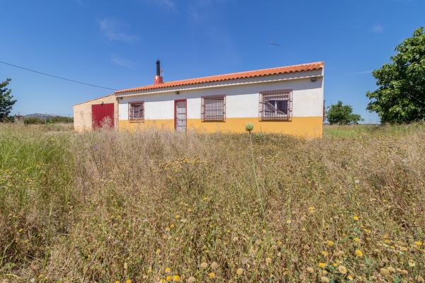 FINCA DE 5 HECTÁREAS CON CASA DE CAMPO EN CAGI...