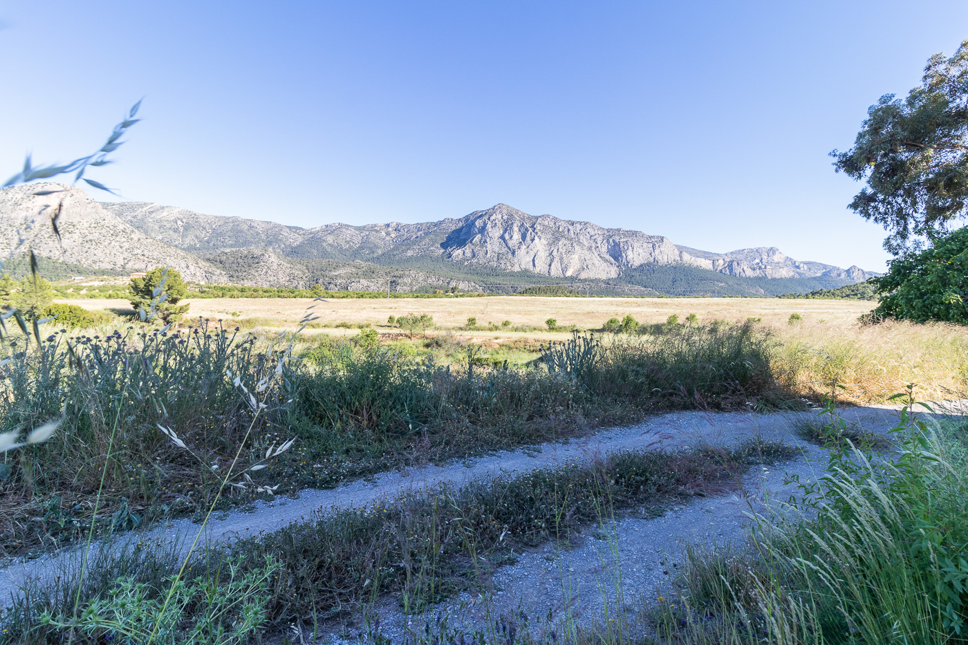 Villa met boerderij van 2 hectare in Casas Nuevas